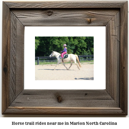 horse trail rides near me in Marion, North Carolina